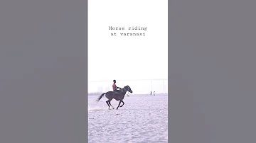 Horse Riding At Varanasi Varanasi Trending Trendingshorts Banaras Viral Horse Horseriding 