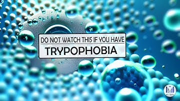 Are You Afraid of Cluster Holes? | Trypophobia Test by A.I.