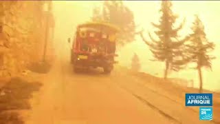 Au moins 69 morts dans des incendies en Algérie, la solidarité s’organise • FRANCE 24