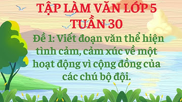 Viết đoạn văn thể hiện tình cảm, cảm xúc về một hoạt động vì cộng đồng của các chú bộ đội. Lớp 5