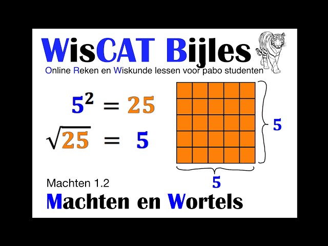 Machten en Wortels - WisCAT Werkboek: Machten 1.2