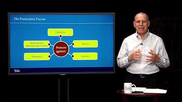 Childhood Immunizations | Essentials of Global Health with Richard Skolnik