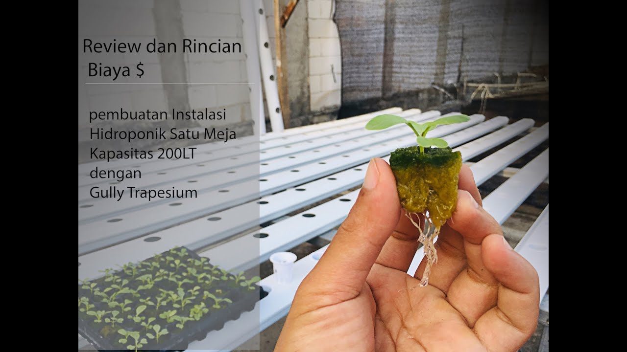 iHidroponiki dengan igullyi trapesium dan Rincian Harga YouTube iHidroponiki dengan igullyi trapesium dan Rincian Harga YouTube
