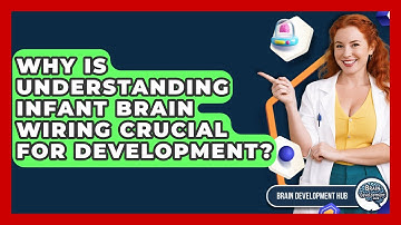 Why Is Understanding Infant Brain Wiring Crucial For Development? - Brain Development Hub