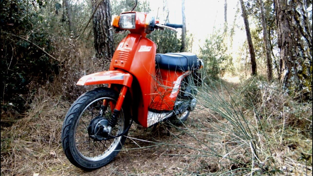 Honda Scoopy 75 YouTube