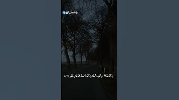 سورة الحج | القارئ محمد اللحيدان #quran