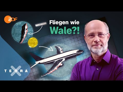 Video: Wie funktioniert Kosmos?