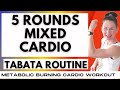 WEIGHT LOSS CARDIO WORKOUT | CARDIO TABATA WITH MIXED CARDIO FORMATS | LOW IMPACT OPTIONS | 5 ROUNDS