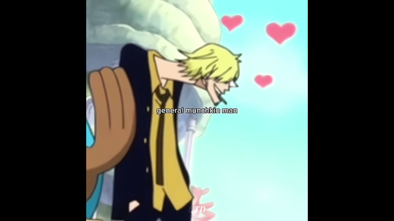 Better Not Mess With  My Gang | One Piece