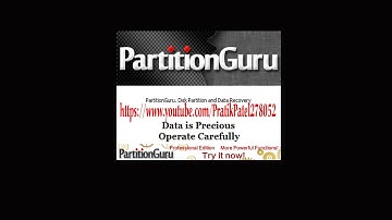 PartitionGuru Free 4.9.3 Professional Edition (2024)