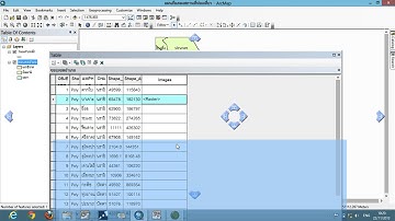 ArcGIS : Working with Attributes Table in ArcMap