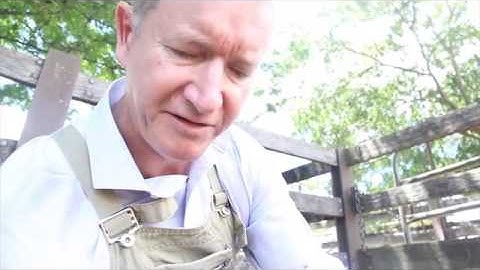 Dawbuts Cattle Parasitology- How To Take Dung Samples 1