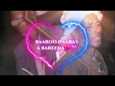 Baaroo Haaraya Bareeda Amaan Abdaullah