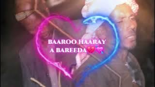 Baaroo haaraya bareeda(amaan_abdaullah)