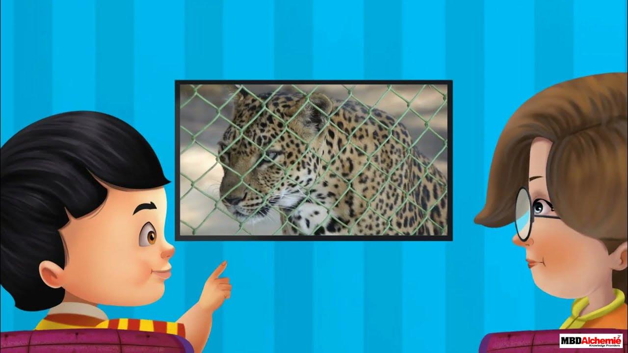 Math Class 3 Play with Patterns Patterns YouTube