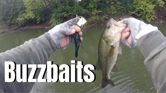 Buzzbait Secrets For The Advanced Angler 