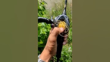 chắc chắc máy ngang  ai cũng bị... chỉ là ít hay nhiều thôi vũ Luân Fishing 62