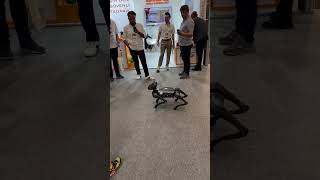 @ShiftDeleteNet muhteşem bir etkinlik olmuş. Tebrikler @hakki_alkan , Buradan bir @CES çıkar!