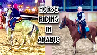 Egyptian Arabic with horse riding - Mastering Egyptian Arabic