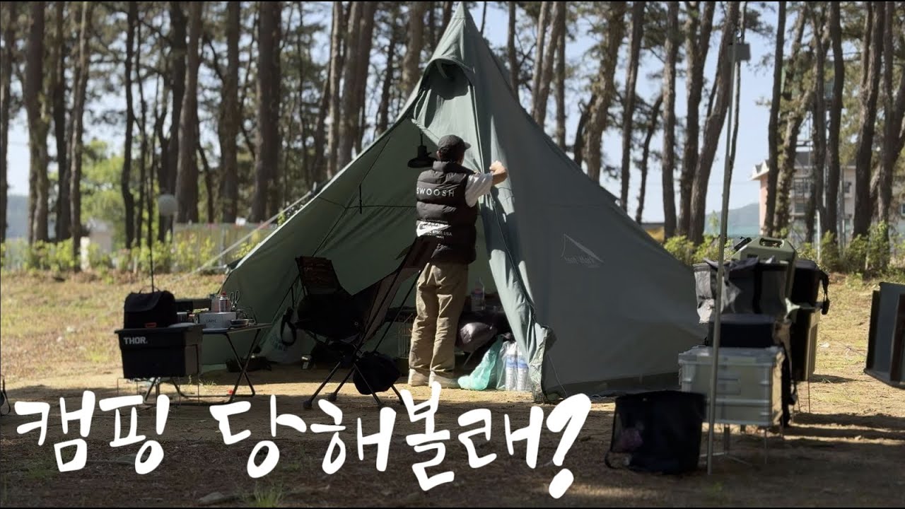 1박 만오천원 캠핑장? 송화가루 쯤이야! | 송호관광지 캠핑장