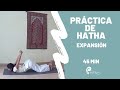 Práctica de Hatha Yoga  - 45min