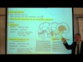 ANATOMY; MUSCLES OF THE FACE & HEAD by Professor Fink