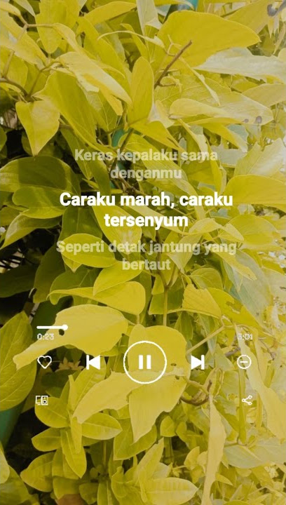 Story WA Bertaut ~ Nadin Amizah