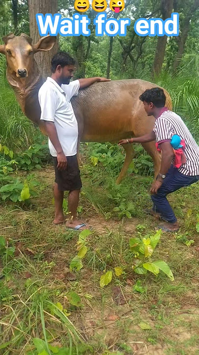 #ligaye land chuwa 😜😆😄