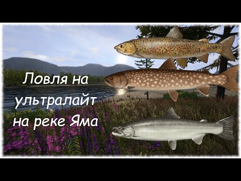Видео: Русская рыбалка 4 Яма. Ловля на ультралайт. Активный клев на реке Яма