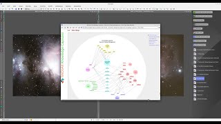 Wedoart Knowledge Capsules