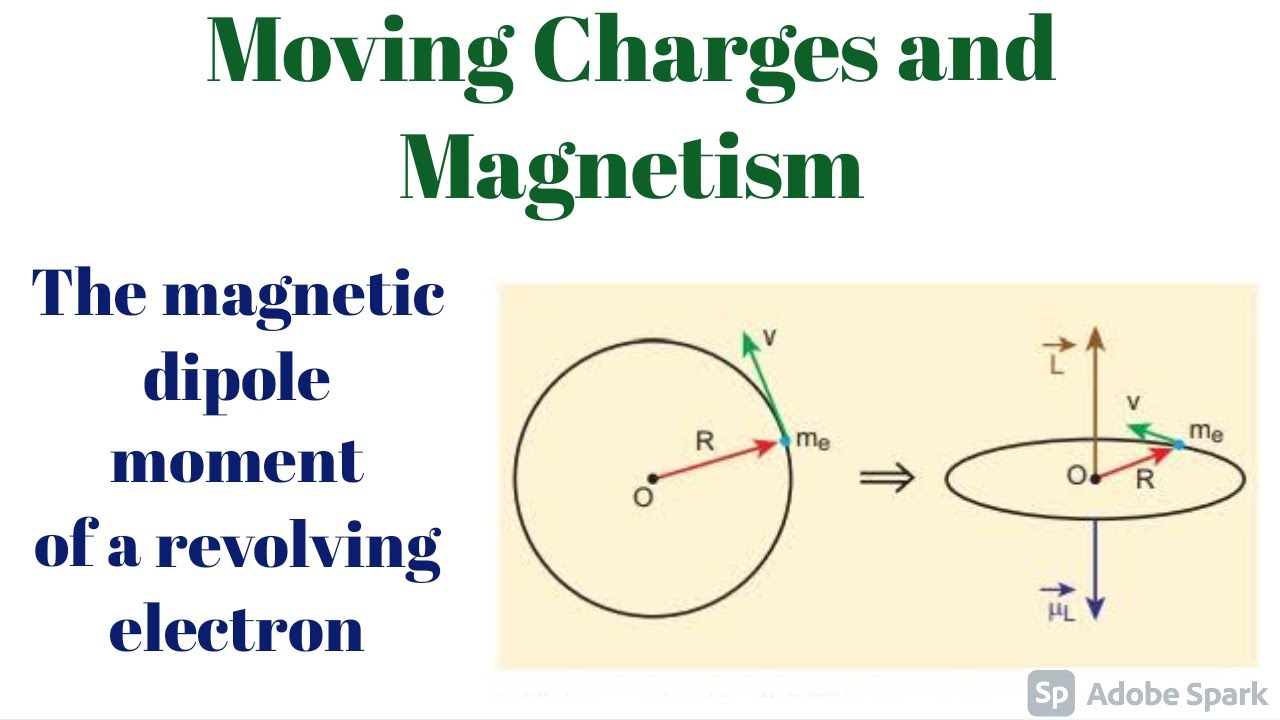 Class 12 Physics, Moving charges magnetism, The magnetic dipole moment ...