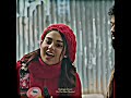 এক ভালোবাসার ভ্রমণ ❤️ #banglanatok #shortfeed #lovestory
