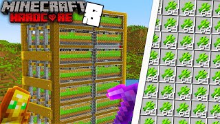 I Built an UNLIMITED Sugar Cane Farm in Minecraft Hardcore!