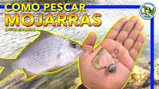 COMO PESCAR MOJARRAS (Agua Salada)