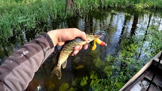 Spinning fishing on the Stokhid River, minus one soft plastic lure screenshot 5