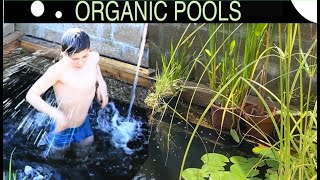 I Made a Tiny, TINY Natural Swimming Pool  Here's How