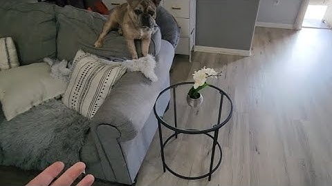 VASAGLE Round Side Table, Glass End Table with Metal Frame (Review)