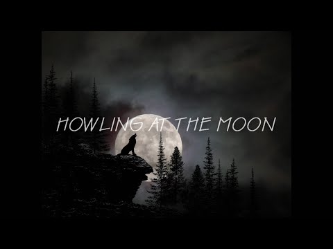 D FINE US HOWLING AT THE MOON TOMER KATZ Ft VIGZ 가사해석 KOR SUB 