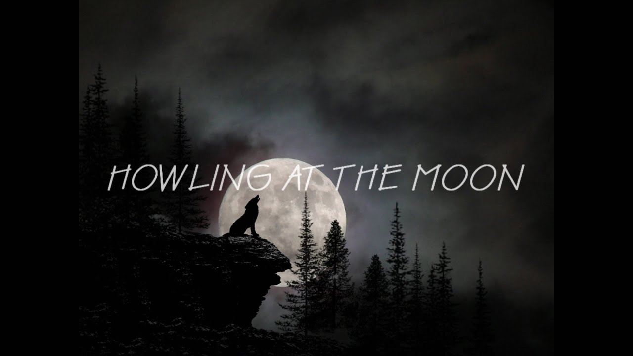 D FINE US - HOWLING AT THE MOON | TOMER KATZ ft. VIGZ 가사해석/KOR SUB D FINE US - HOWLING AT THE MOON | TOMER KATZ ft. VIGZ 가사해석/KOR SUB