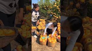 This girl told the truth about apple. #shortvideo