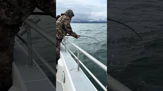 Roy Steele Seward Alaska 2025 125 lb Halibut