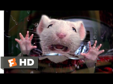 Stuart Little (1999) - Stuck in the Washing Machine Scene (2/10) | Movieclips