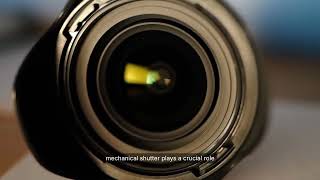 Nikon Z8 Sensor Shield vs Dust Damage