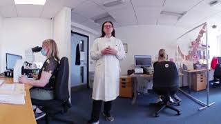 Tour of the Pathology Lab in Belfast in 360 Degrees