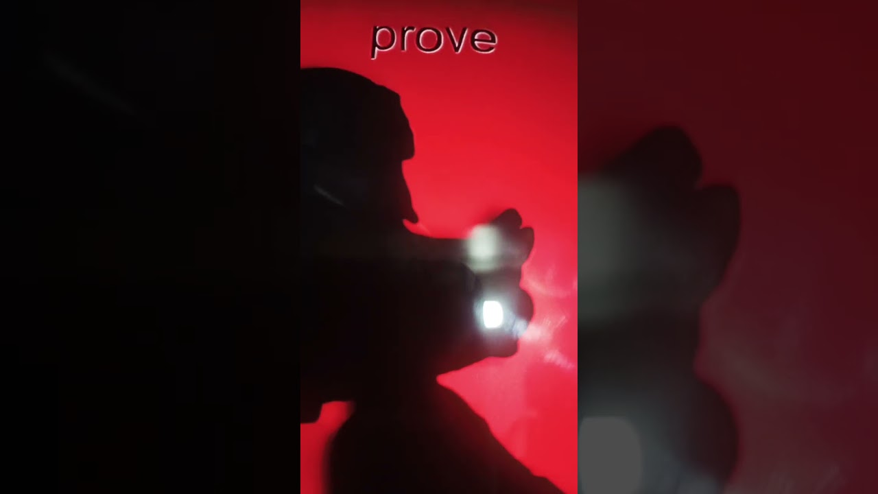 i would take a bullet for you just to prove my love