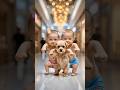 Cutest Baby Twins Dancing with Puppy 🐶I Viral Baby Dance Video 💞 I Funny Kids Shorts #funny #shorts