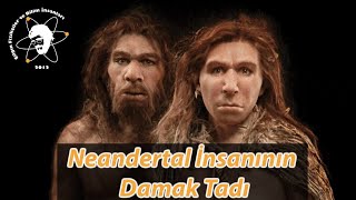 Neandertal İnsanının Damak Tadı