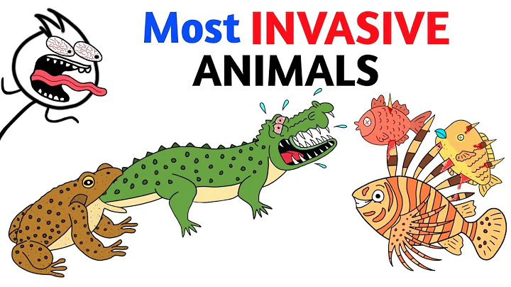 Invasive Animal Destroying The Planet