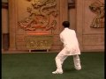 Chen style taiji quan old frame routine ii