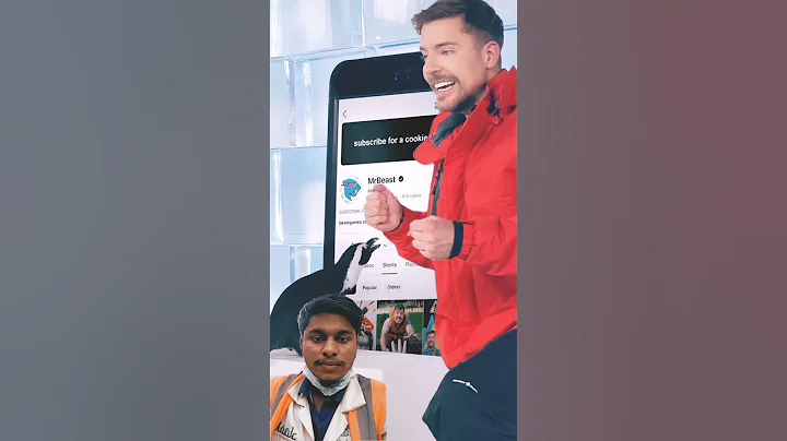 #penguin The moment when popular YouTuber Mr. Best met his 400 million subscribers with penguins